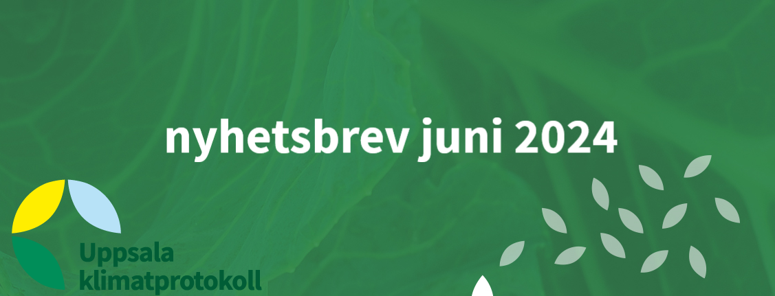 Nyhetsbrev juni 2024